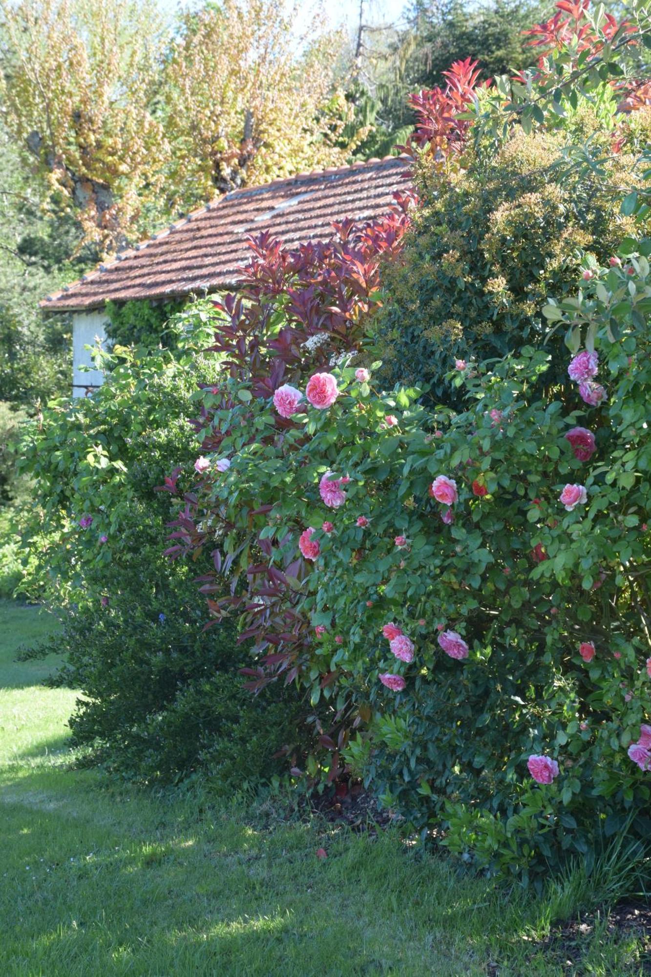 Domaine Chez Maurice Acomodação com café da manhã Becheresse Exterior foto