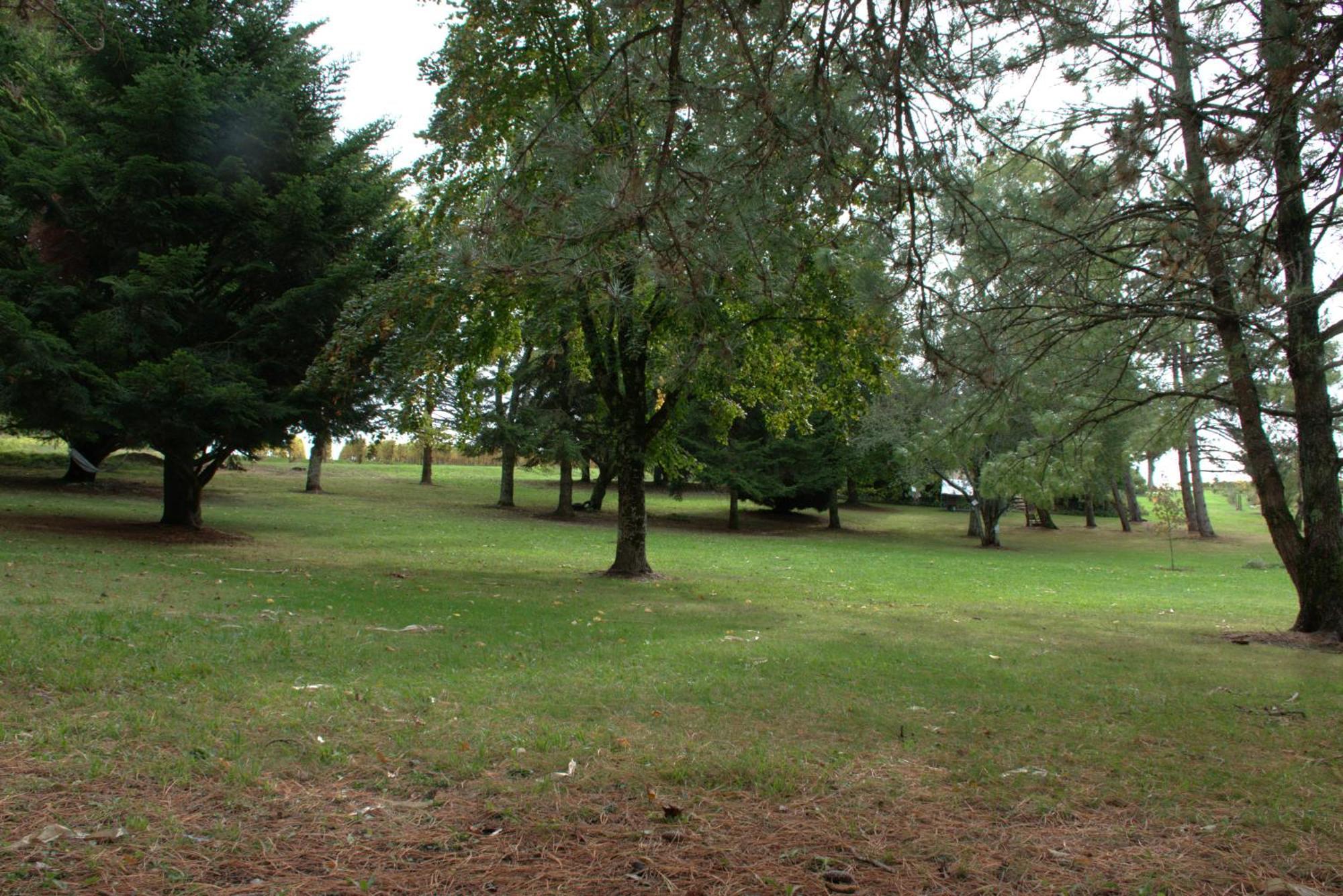 Domaine Chez Maurice Acomodação com café da manhã Becheresse Exterior foto